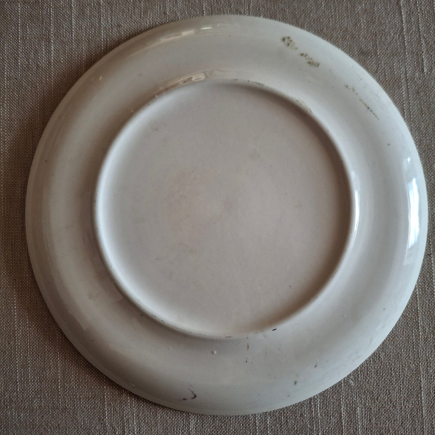 Vintage Niagara Falls New York Souvenir Plate