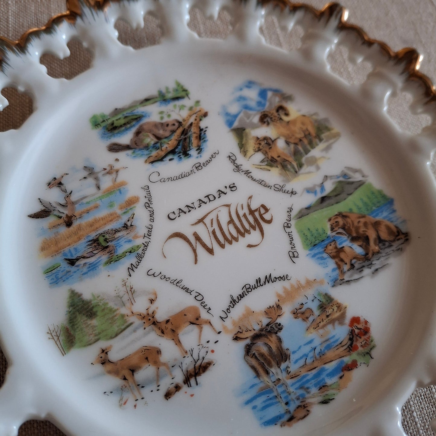 Vintage Canada's Wildlife Souvenir Plate